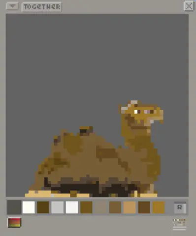 Camel